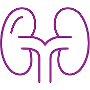 Kidney